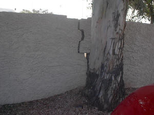 Block Wall Damage Scottsdale AZ