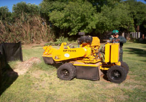 Large Stump Grinder Picture 2