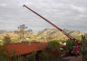 Crane Safely Removing a Tree in Paradise Valley Picture 1