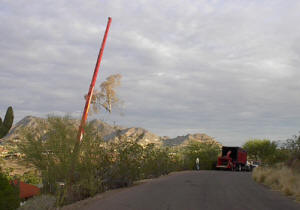 Crane Safely Removing a Tree in Paradise Valley Picture 3