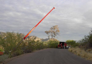 Crane Safely Removing a Tree in Paradise Valley Picture 4