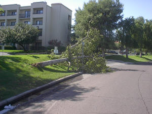 Storm Damage in Scottsdale, AZ Picture 2