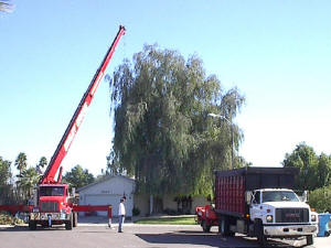 Picture of Truck and Crane