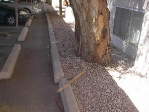 Parking Lot Damage Scottsdale Arizona