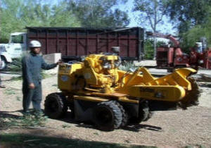 Large Stump Grinder Picture 1
