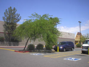 Tree Potentially Falling on Parked Car in Shopping Center